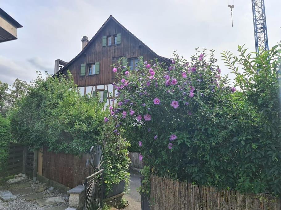 3 Bedroom Swiss House On 3 Floors Oberglatt ภายนอก รูปภาพ