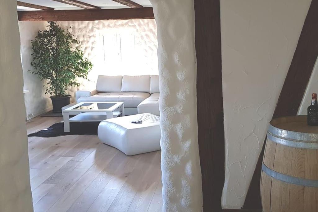 3 Bedroom Swiss House On 3 Floors Oberglatt ภายนอก รูปภาพ