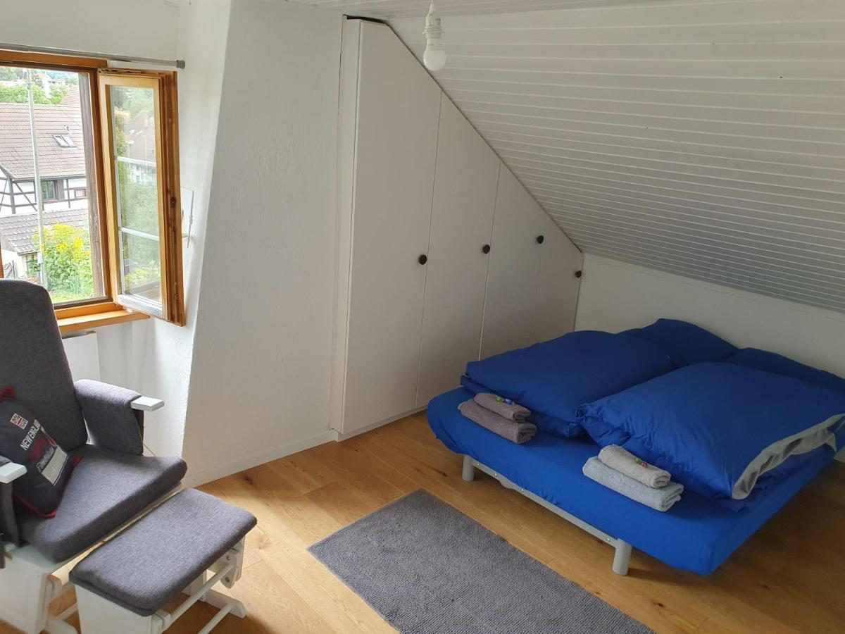 3 Bedroom Swiss House On 3 Floors Oberglatt ภายนอก รูปภาพ