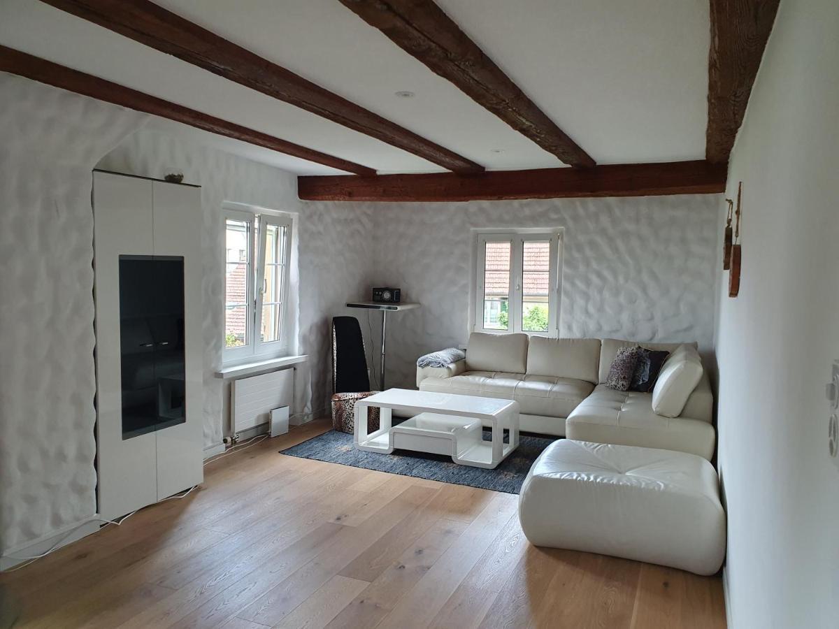 3 Bedroom Swiss House On 3 Floors Oberglatt ภายนอก รูปภาพ